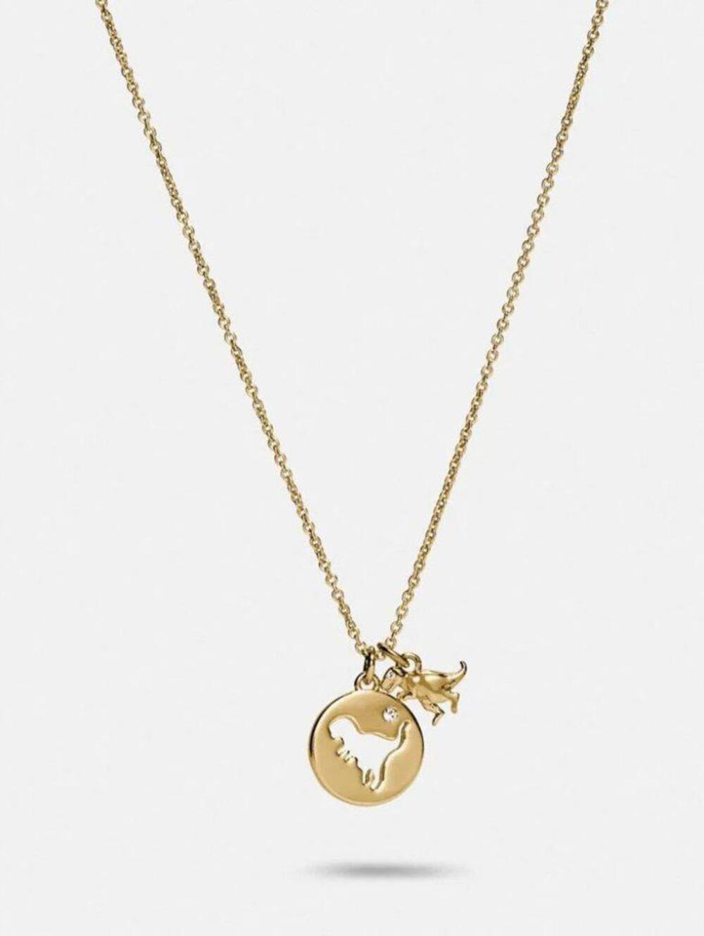 Coach Rexy Cutout Necklace